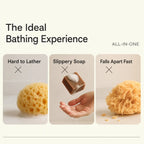2-Pack Soft Bath Sponge with Soap Pocket – Quick-Foaming Body Scrub Sponge