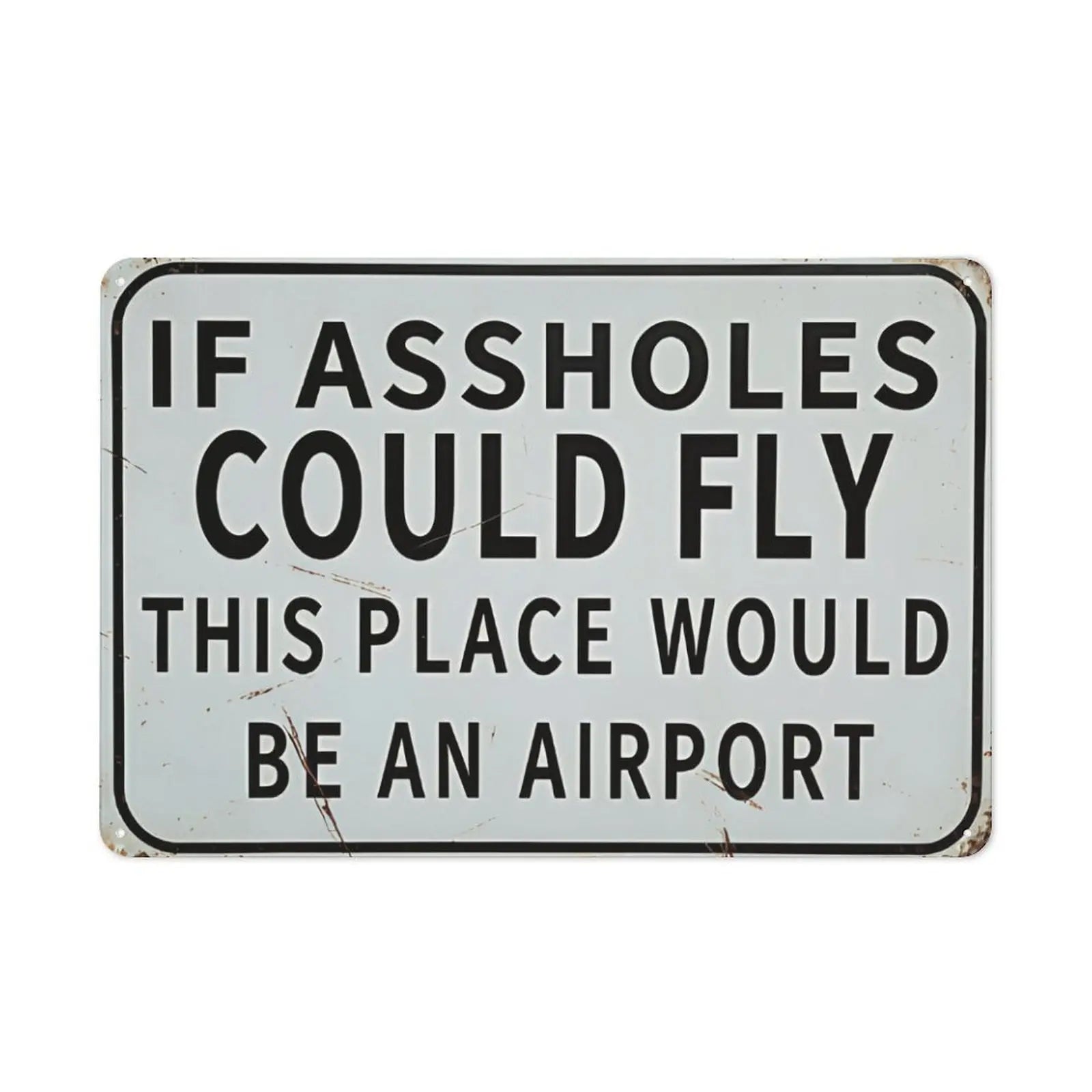 If Aholes Could Fly Metal Sign – 12x8 Inch Rustic Vintage Wall Decor