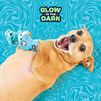 BarkBox - Dog Shoes | EVA Foam with Adjustable Strap, Breathable, Glow-in-Dark