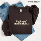 Big Fan of Human Rights Sweatshirt, Equality Graphic Sweater, Social Justice Activism Top