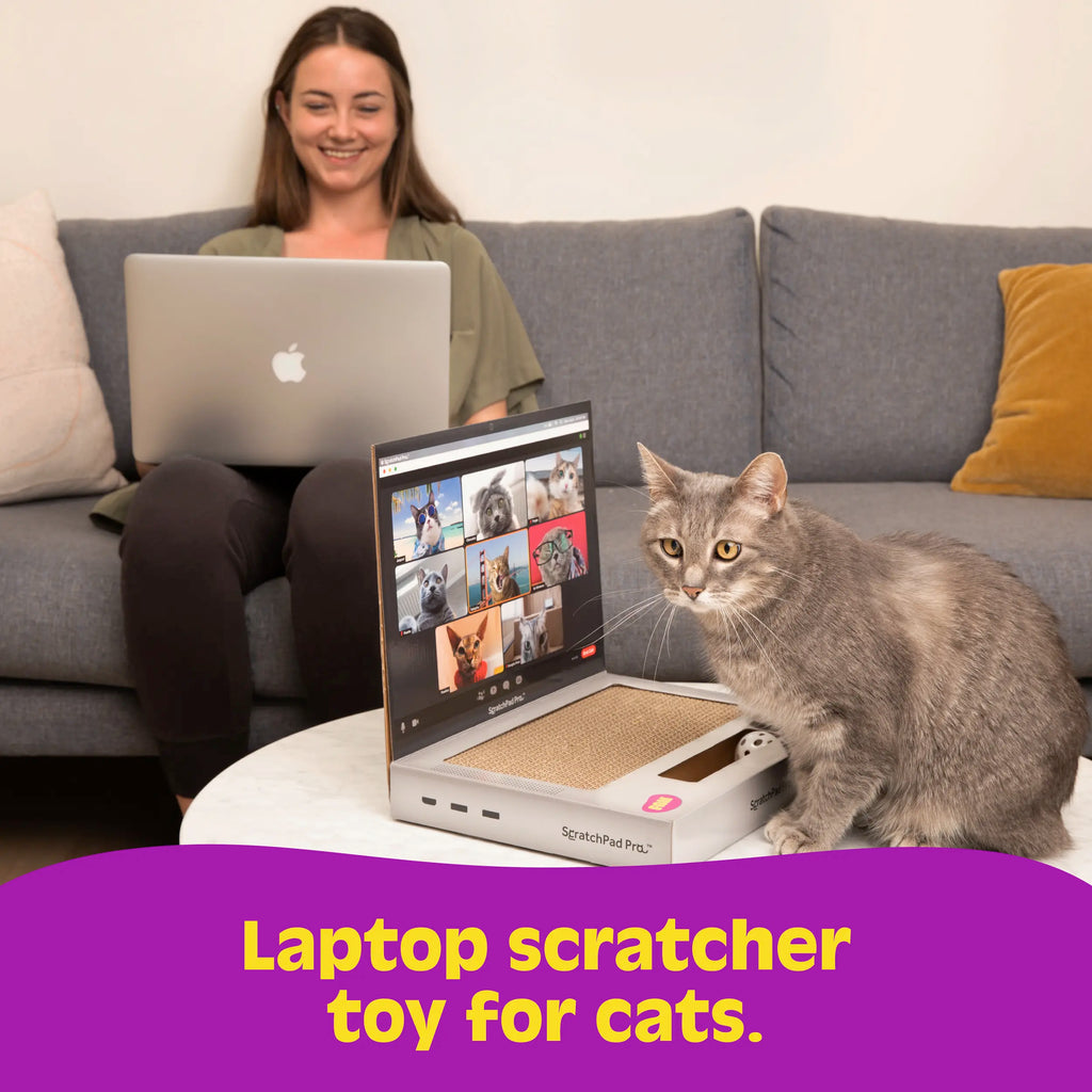 ScratchPad Pro Cardboard Laptop Cat Scratcher – Funny Interactive Indoor Toy