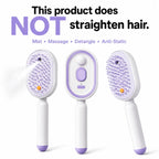 Electric Spray Air Cushion Massage Comb – Self-Cleaning Anti-Static Hair Brush