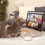 ScratchPad Pro Cardboard Laptop Cat Scratcher – Funny Interactive Indoor Toy