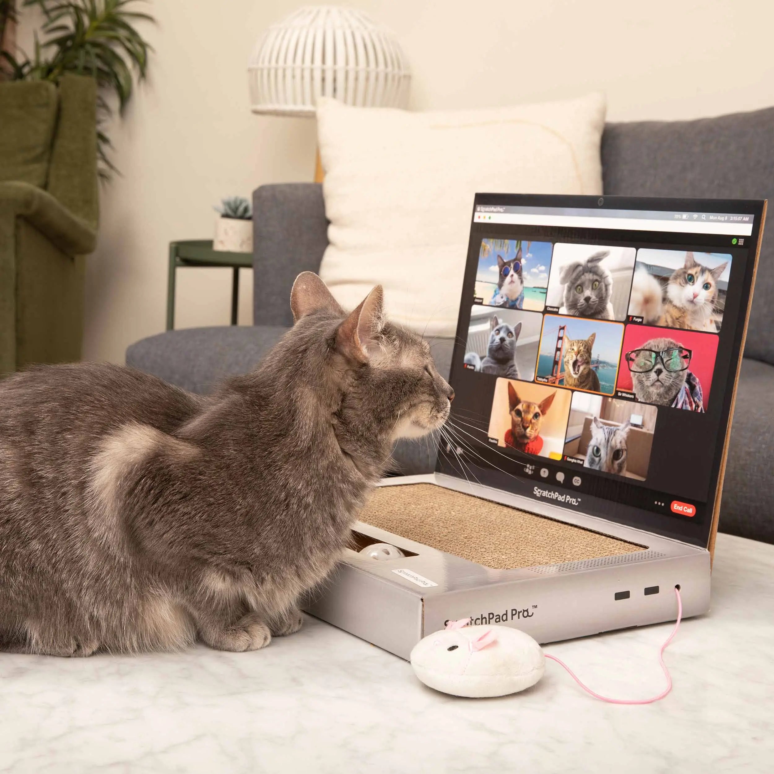 ScratchPad Pro Cardboard Laptop Cat Scratcher – Funny Interactive Indoor Toy